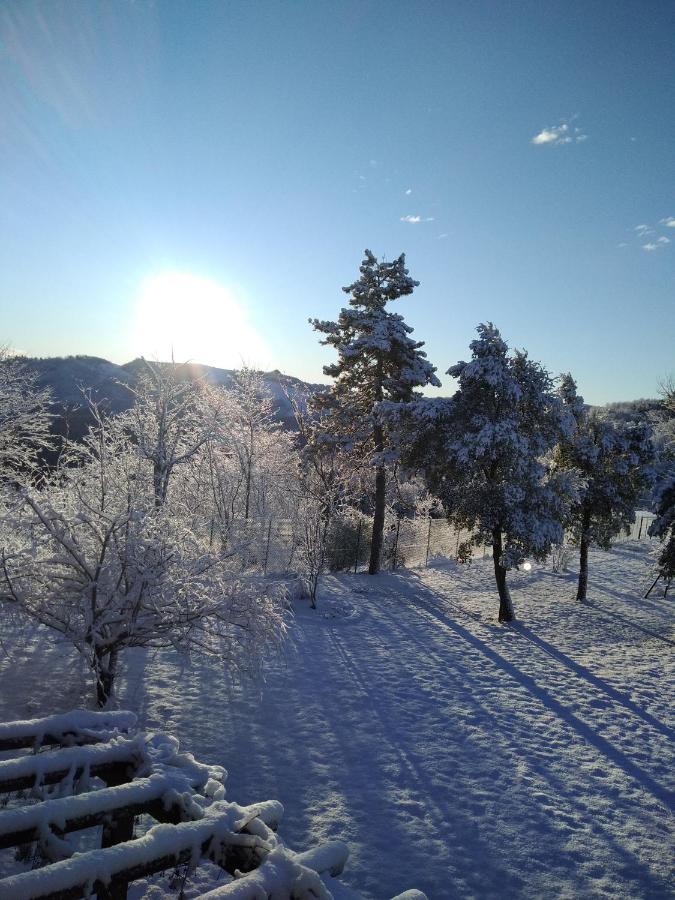 B&B Il Sogno Dovadola Екстер'єр фото